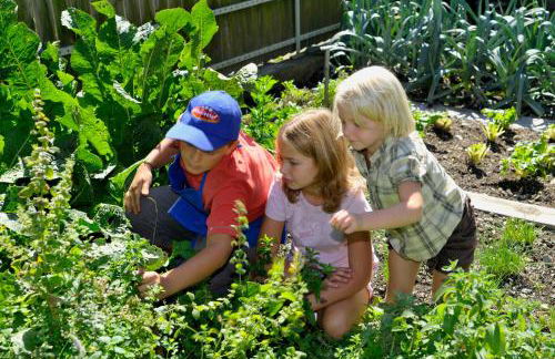 Häuslerhof - Photo 38