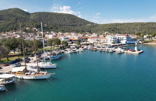 The Olive Tree - Photo 31