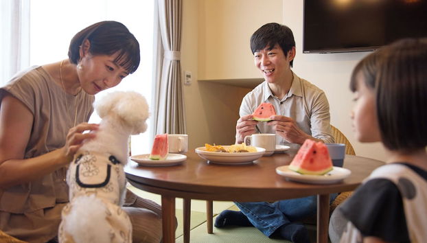 Solana Karuizawa Villa - Photo 4, Interior