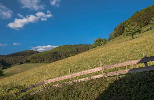 Geigerseppleshof - Foto 29