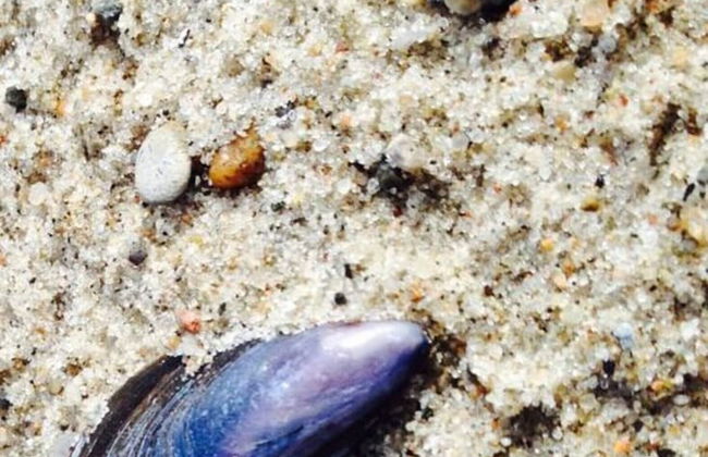 Lasse Comfortable Holiday Residence - Foto 16