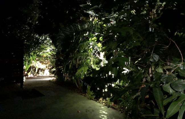 Serenity on Magnetic - Foto 29