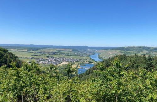 Luxe, landelijke vakantiewoning der alte Birnenbaum Duitsland-Sankt Wendel - Foto 59