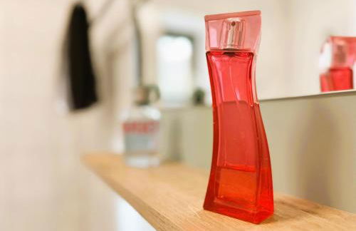 66m² Ferienwohnung "Moritz" - direkt an der Erlebniswelt & Skiarena bis 4 Personen - Foto 21