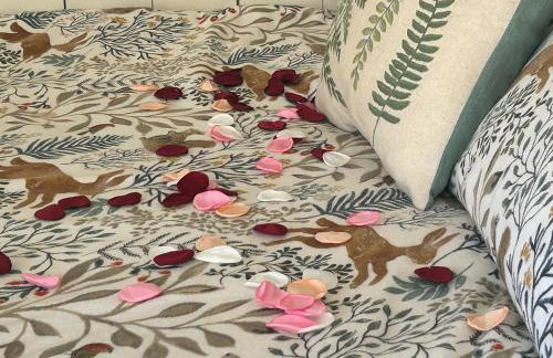 Cosy Devon Hut Woodland Views - Photo 73