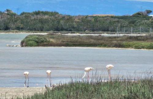 Acqua Chiara Beachfront Home - Foto 45