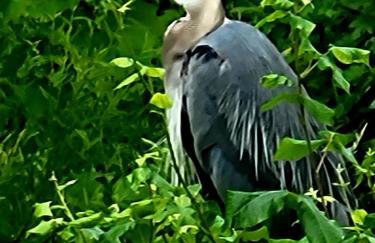 Downingtown Manor - 1900s Farmhouse with Creek Views - Foto 48
