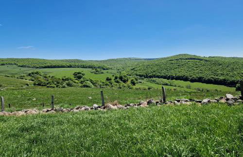 Buron de Léon, en plein cœur de l Aubrac - Photo 23