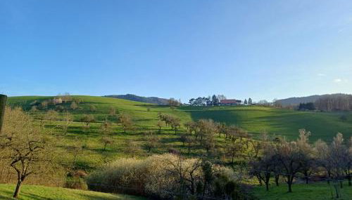 Fachwerkhaus mitten in der Natur - Foto 3
