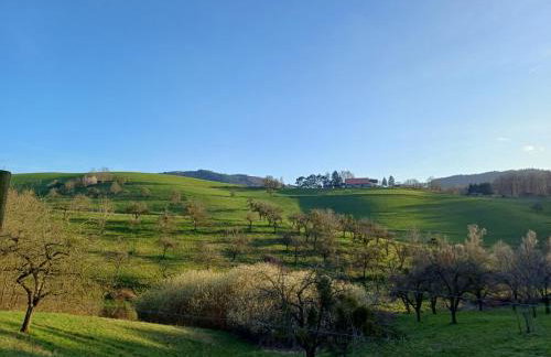 Fachwerkhaus mitten in der Natur - Photo 3