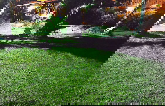 The Palm Apart Sarigerme - Foto 71