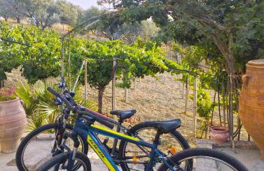 Villa Vitsilias under the cretan sky - Photo 12