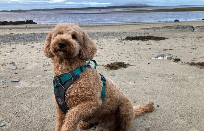 3 Bed House - Sleeps 5 - Pets - Garden - Parking - Photo 22