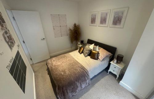 JVL Nice Cosy 1BR Flat Purley, London - Foto 20