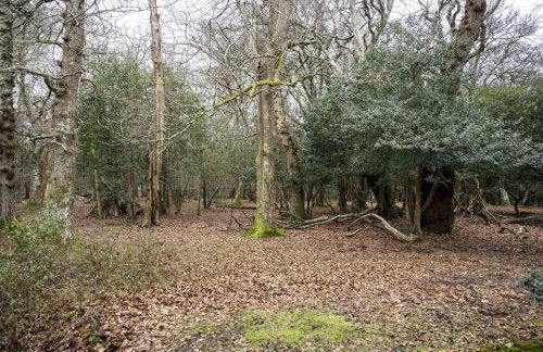 Burley Mews - Photo 36