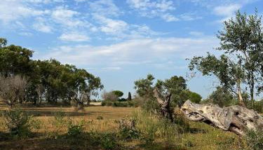 Casa Vacanza nell'entroterra salentino - Foto 4