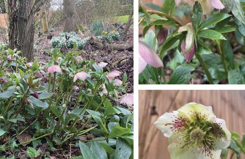 Crafter's Retreat luxury cabin on the Norfolk Cambridgeshire border - Foto 17