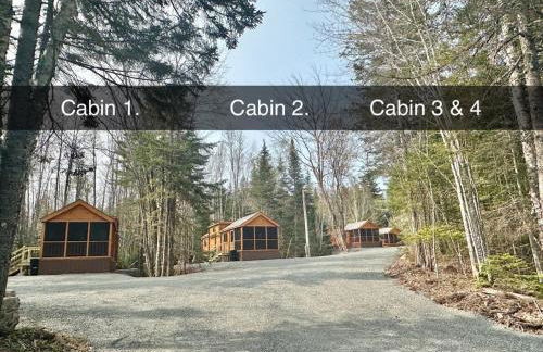 Cozy Coastal Cabin 4 - Foto 12