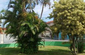 Família Castro Ostras - Foto 17