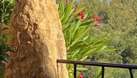 Sa Terrazza costarei - Foto 4