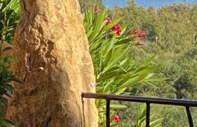 Sa Terrazza costarei - Foto 4