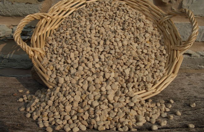 Agriturismo Bosimano - Photo 23