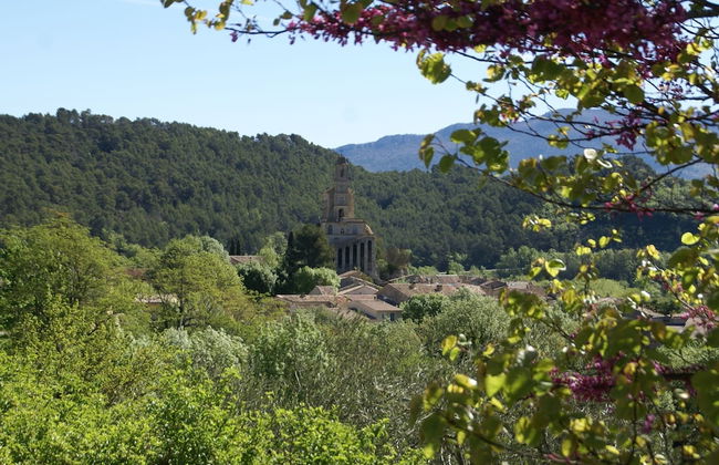 Apartment in Montbrun-les-bains Near Forest - Foto 80