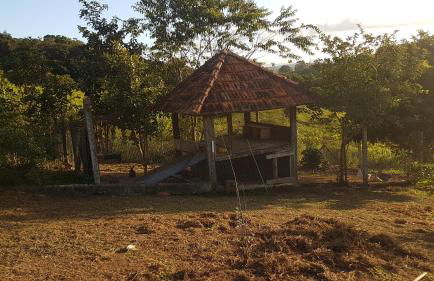 Sítio Santa Filomena - São Roque - Foto 50