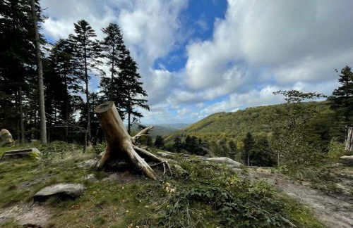 Ferienwohnung Erlehof - Foto 10