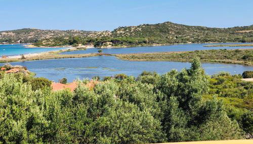 Trilocale Lantana 250 mt spiaggia - Photo 5