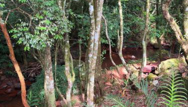 Casa da Serra borrussia - Foto 3, Garden