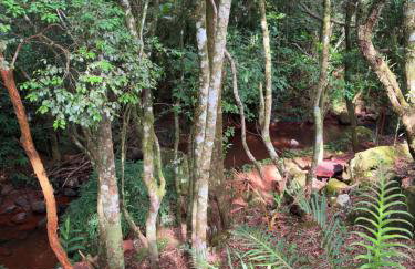 Casa da Serra borrussia - Foto 3