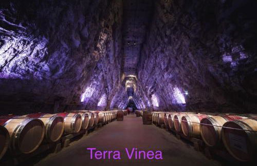 Gîte « domaine de l’oustal nau » - Foto 40