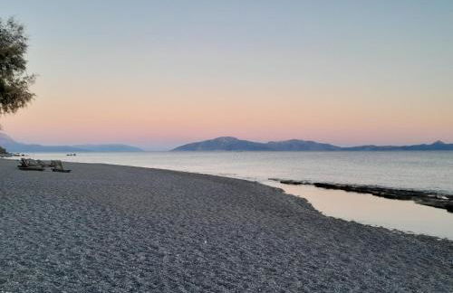 Lydia Mare - Foto 21