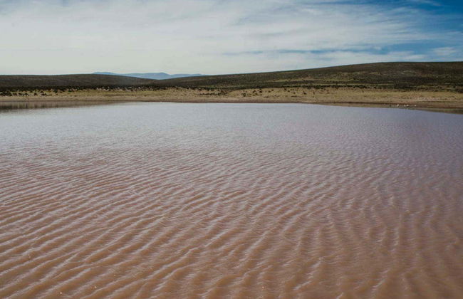 Yavi and Quiaca Trip - Photo 7