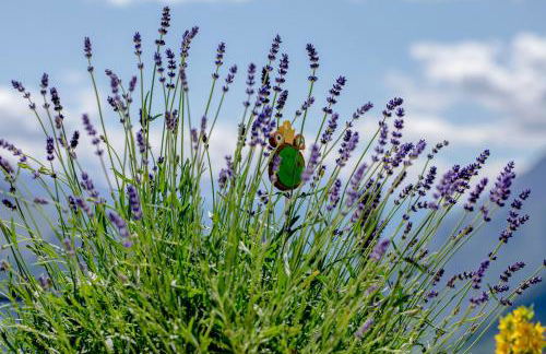 Mountain Village Hasenegg - Foto 22