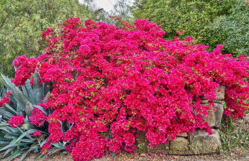 Ojai Vacation Home with Views on the East End - Foto 55