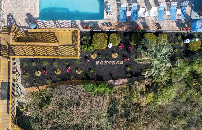 Beach Club at Montego Inn - Photo 68