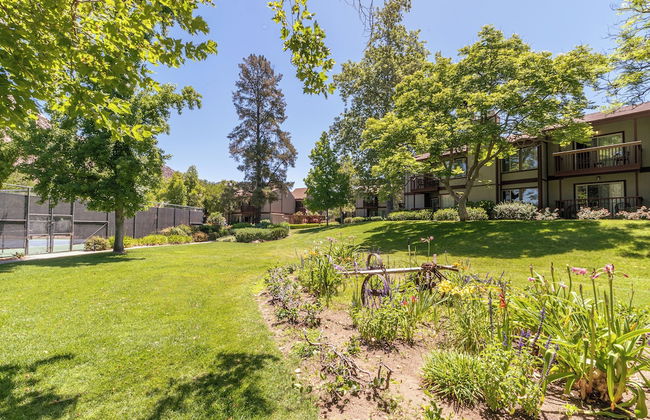 San Diego Country Estates - Foto 35