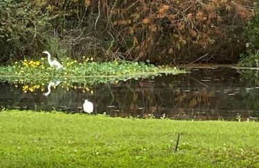 Professor Rousseau's Tiki Hideaway - Foto 35