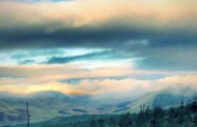 Corlae Cottage, mountain and forest views - Foto 21