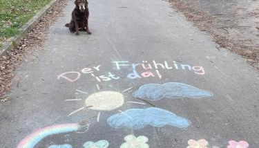 Innas Ambiente - Foto 2