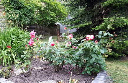 Feriendomizil Annette`s Scholle - Photo 10