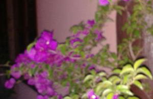 Teresopolis Duplex Green Valley - Photo 53