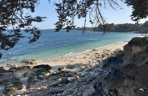 Agapè, élégant T2, 4 étoiles, plage et GR34 3km, centre ville 750m - Foto 40