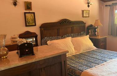 Quinta de Carcavelos Agroturismo e Enoturismo - Foto 29