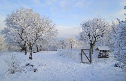 Les Jardins des 3 Provinces- Gîte - Foto 51