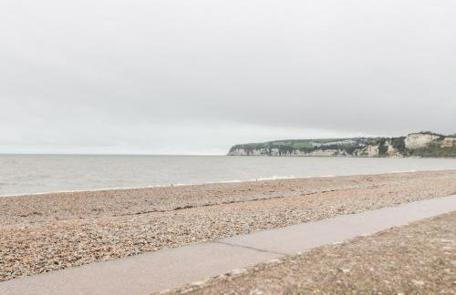 14 Lyme Mews - Photo 25