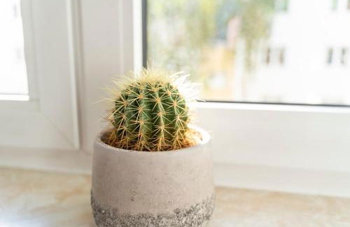 RR - Central Apartments 80qm - Balcony - Washer - Foto 8