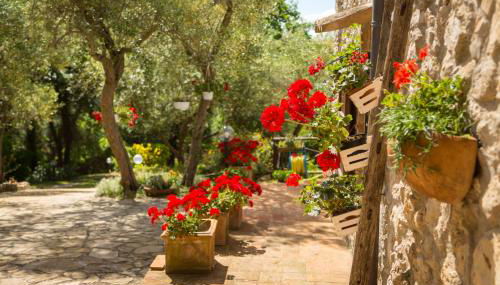 Casa tra le Querce - Foto 2, Garden, Garden view